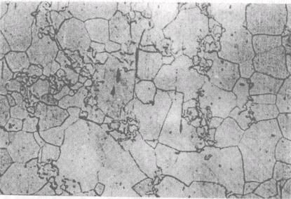 �D10.176ʧЧ�o�ڽ�����ƾ���Һ���g��ĽM��120 x