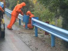 �����o�������Ř�