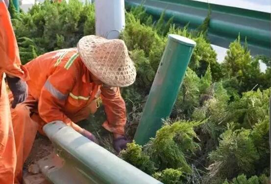 為公路護(hù)欄“療傷”